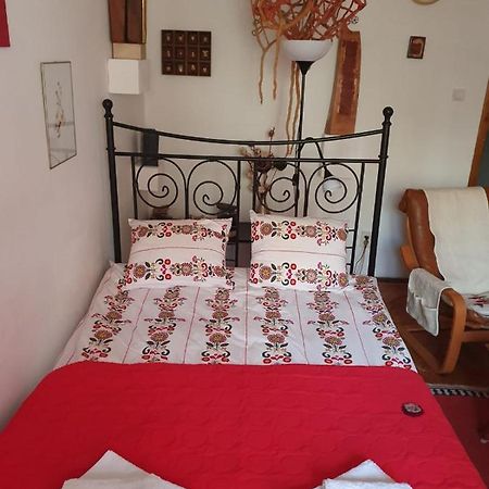 Apartament Anca Timisoara Esterno foto