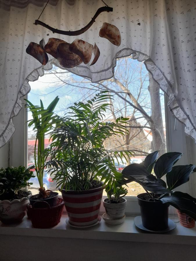 Apartament Anca Timisoara Esterno foto